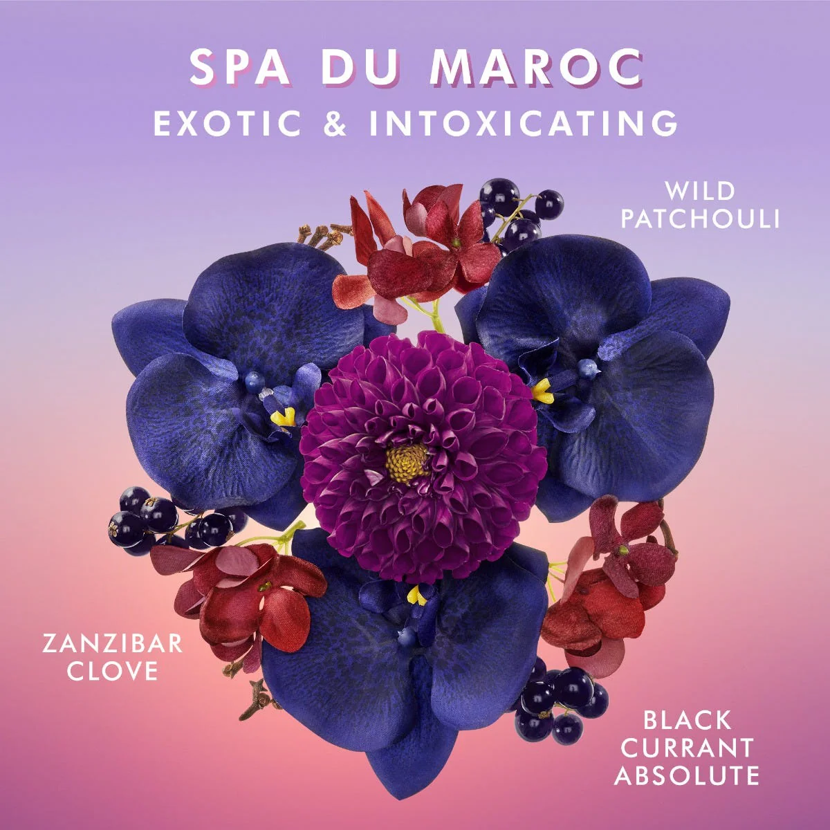 Shower Gel Spa Du Maroc - Image 4